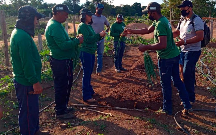 Curso Incentiva Produtores Rurais De Pimenteiras Do Oeste No Plantio De ...